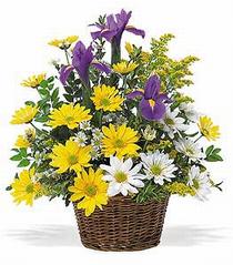 sepet i�erisinde Mevsim �i�ekleri , Kar���k g�rsel ve ilkbahar�n sonbahar�n k�� ve yaz �r�nlerinin her mevsimin g�zel �e�itli k�r �i�ekleri ile haz�rlanm�� tanzim modeli tanzimi