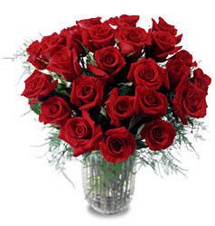 15 adet k�rm�z� g�l vazo i�erisinde