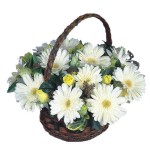 Bursa �i�ek ten 9 adet sevdiklerinize gerbera sepet i�erisinde
